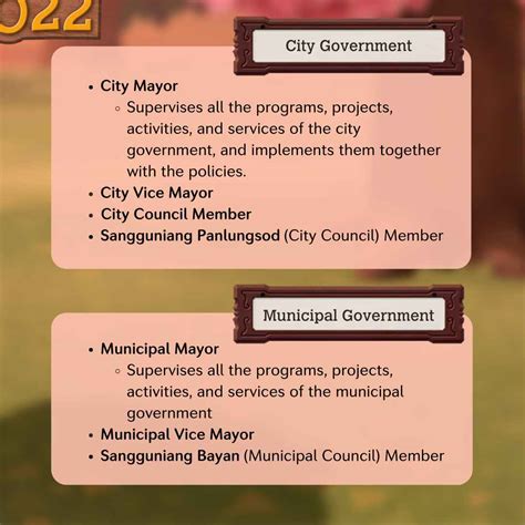 Powers and Duties: City Mayor, Vice Mayor, Councilor in the .